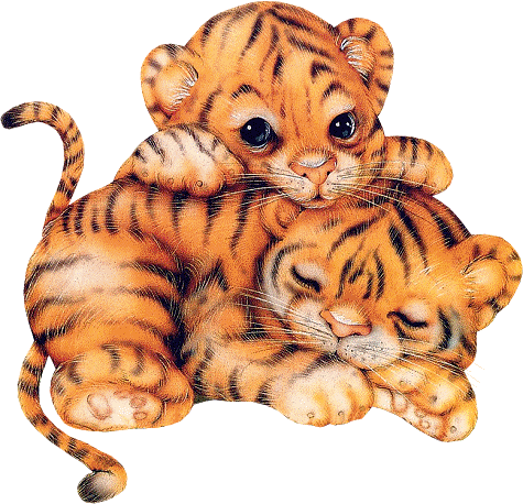 tigres